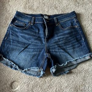 New York and Company Soho shorts